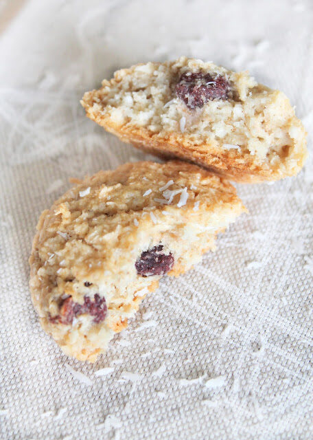 Biscotti Vegan con Cocco e Lamponi