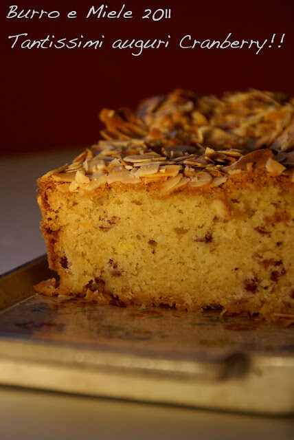 Cake al cioccolato bianco e (tanti auguri) Cranberry