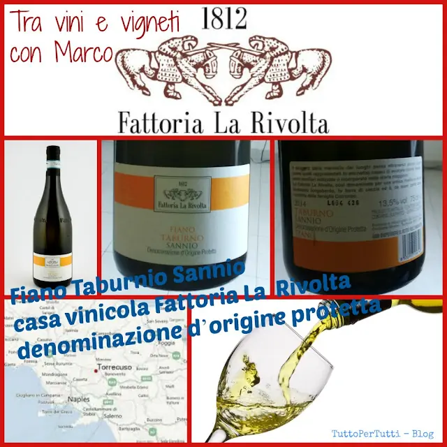 FIANO TABURNIO SANNIO, casa vinicola FATTORIA LA RIVOLTA, denominazione d’origine protetta