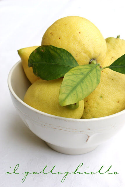 Giallo limone…