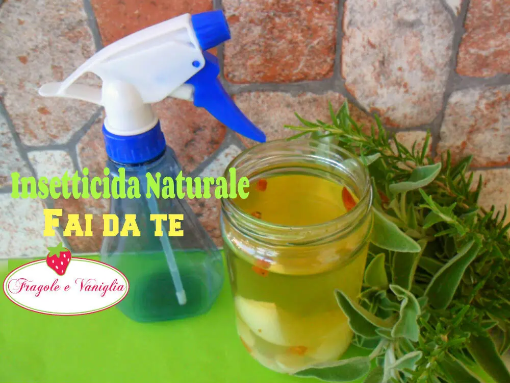 Insetticida Naturale Fai da Te