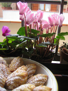 Madeleines all'Earl Grey