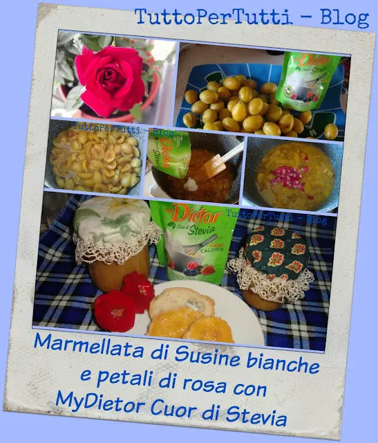 MARMELLATA DI SUSINE BIANCHE E PETALI DI ROSA CON MyDIETOR CUOR DI STEVIA