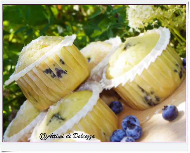 MUFFIN AI MIRTILLI