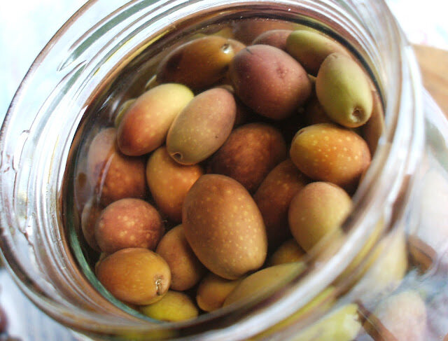 Olive sott’olio in conserva