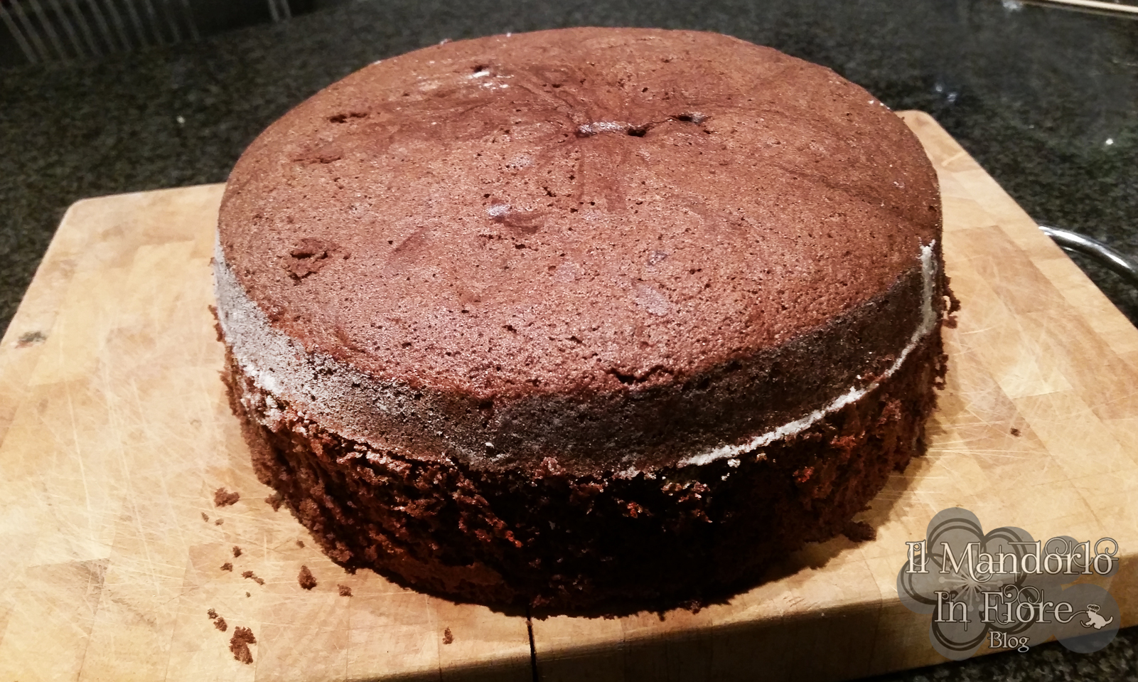 Pan di Spagna al cioccolato