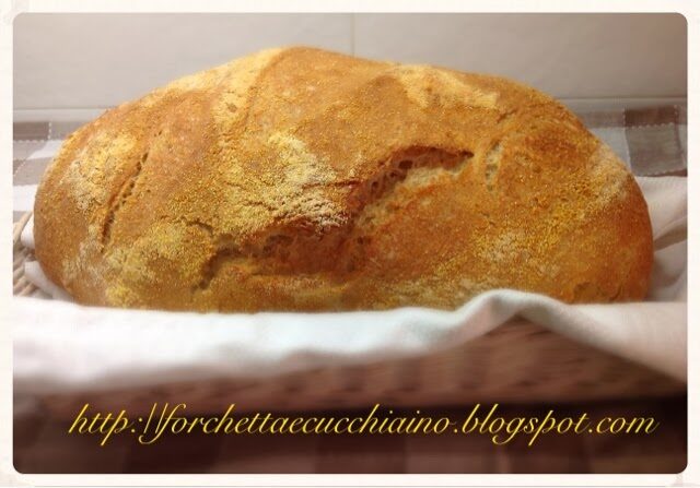Pane di semola di grano duro con pasta di riporto