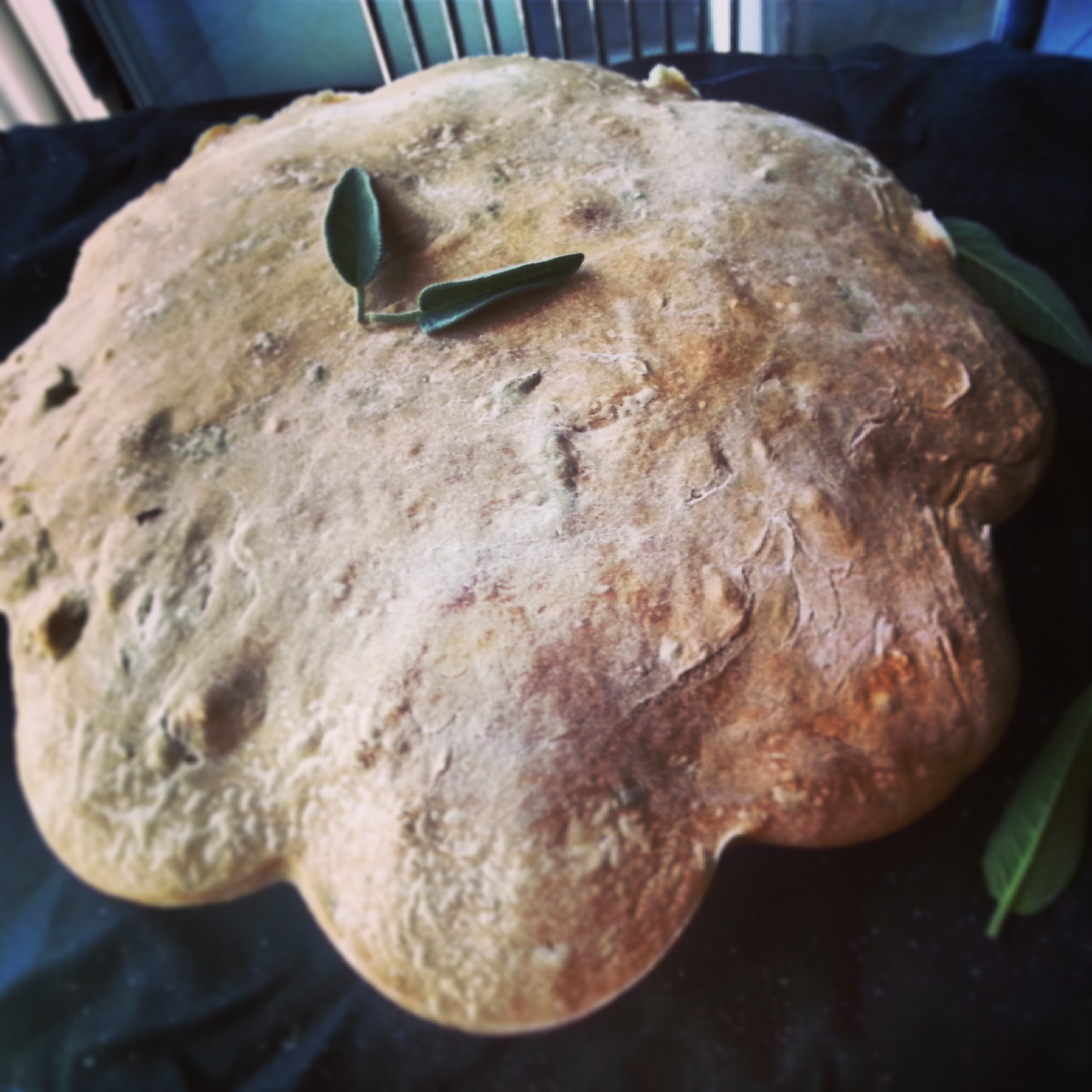 Pane rustico salvia e menta