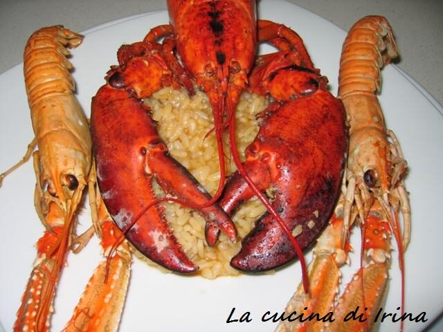 Risotto allo champagne con gli scampi e l’astice﻿