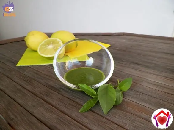 Salsa al basilico limone