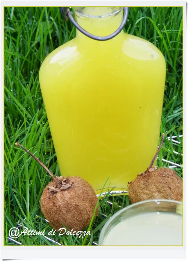 SCIROPPO DI KIWI