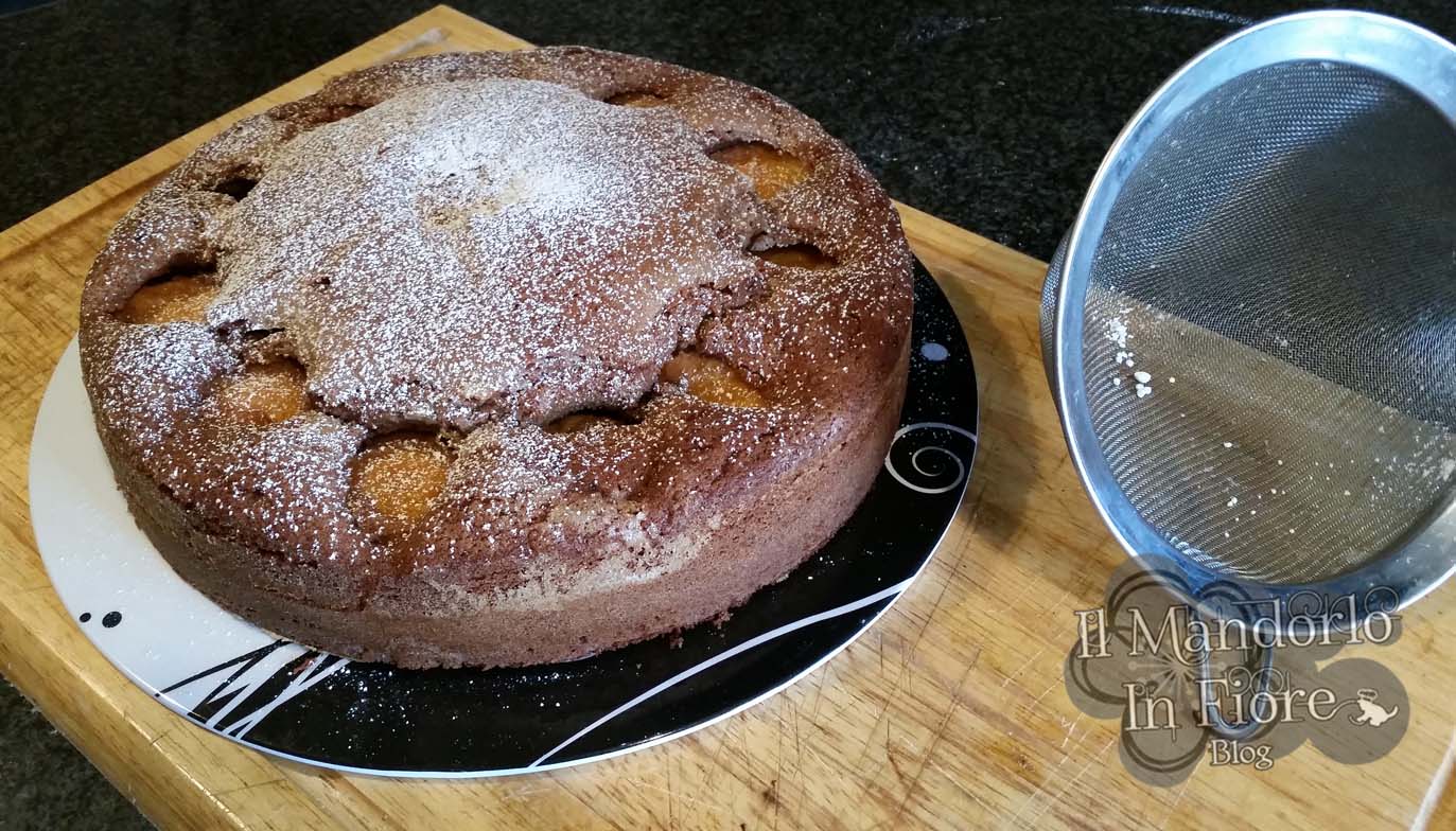 torta al cioccolato e albicocca