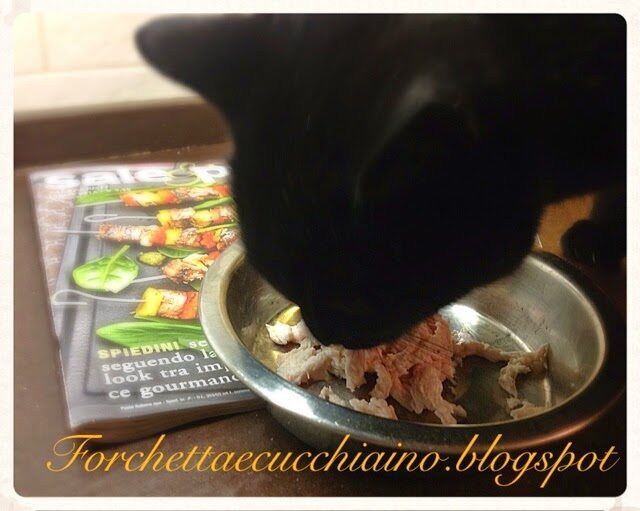 100 post – festeggiamo con i cuccioli di casa! sfilaccetti di pollo alnaturale