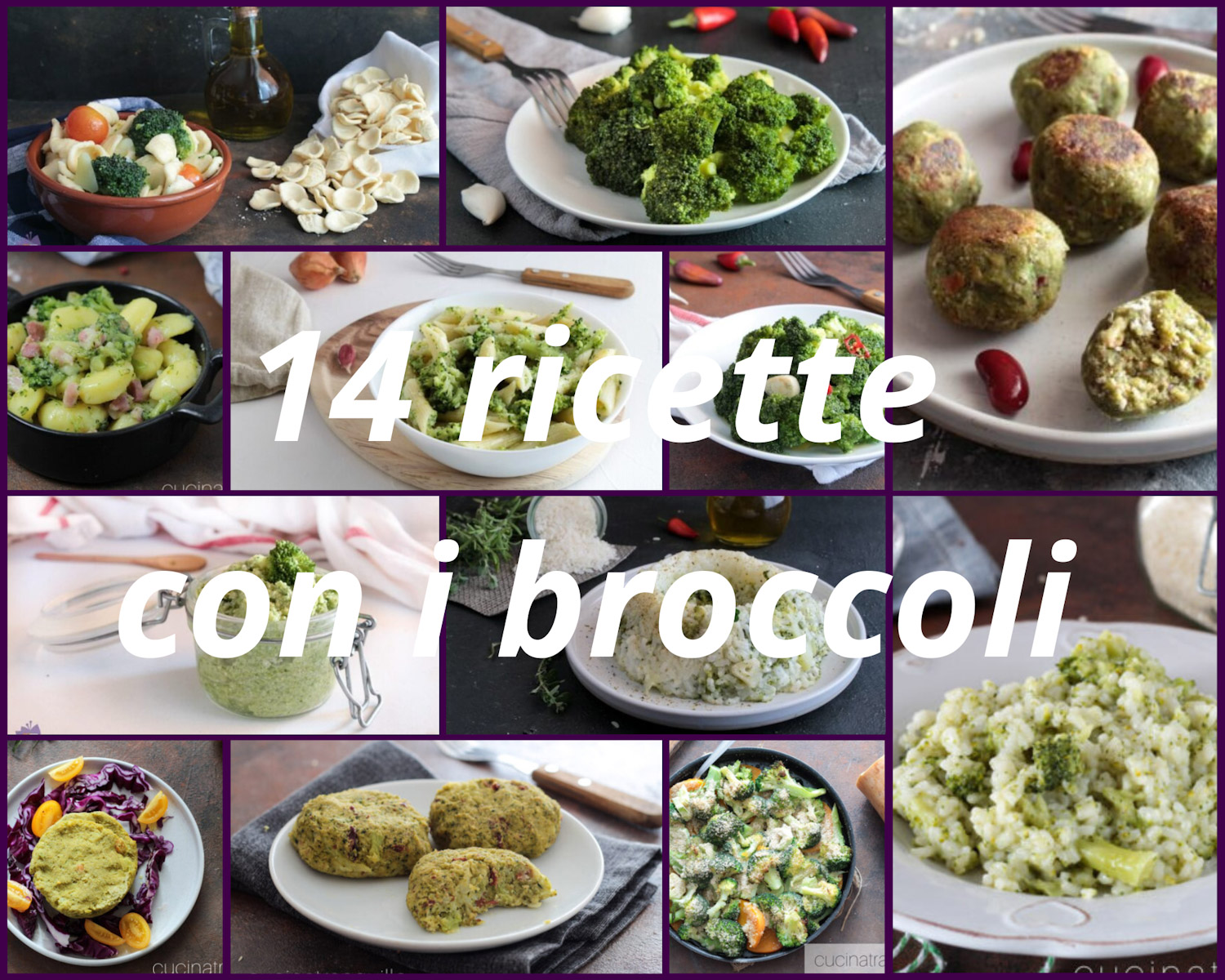 14 ricette con i broccoli