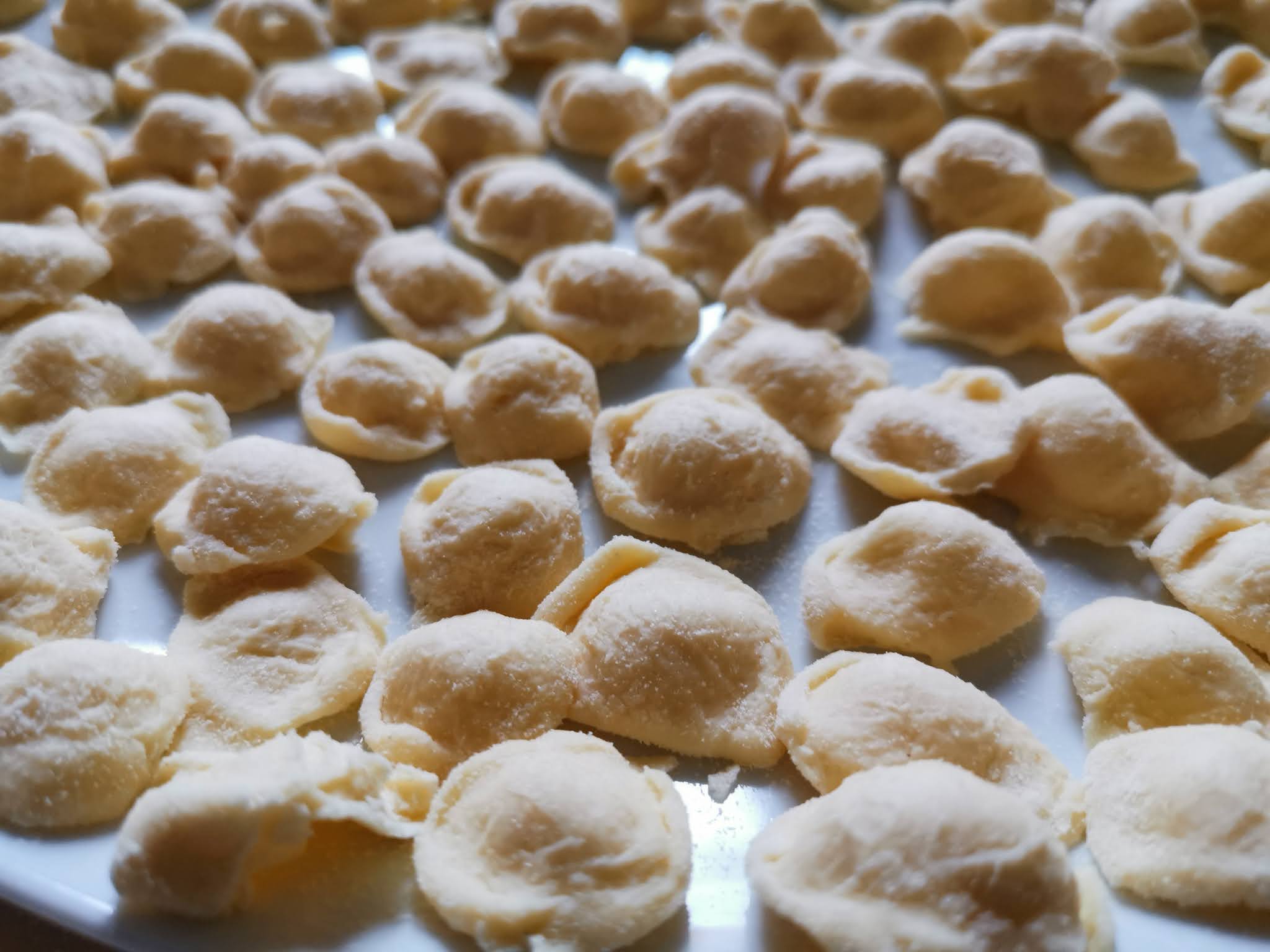 à la recherche della rasulecchia per le orecchiette della nonna