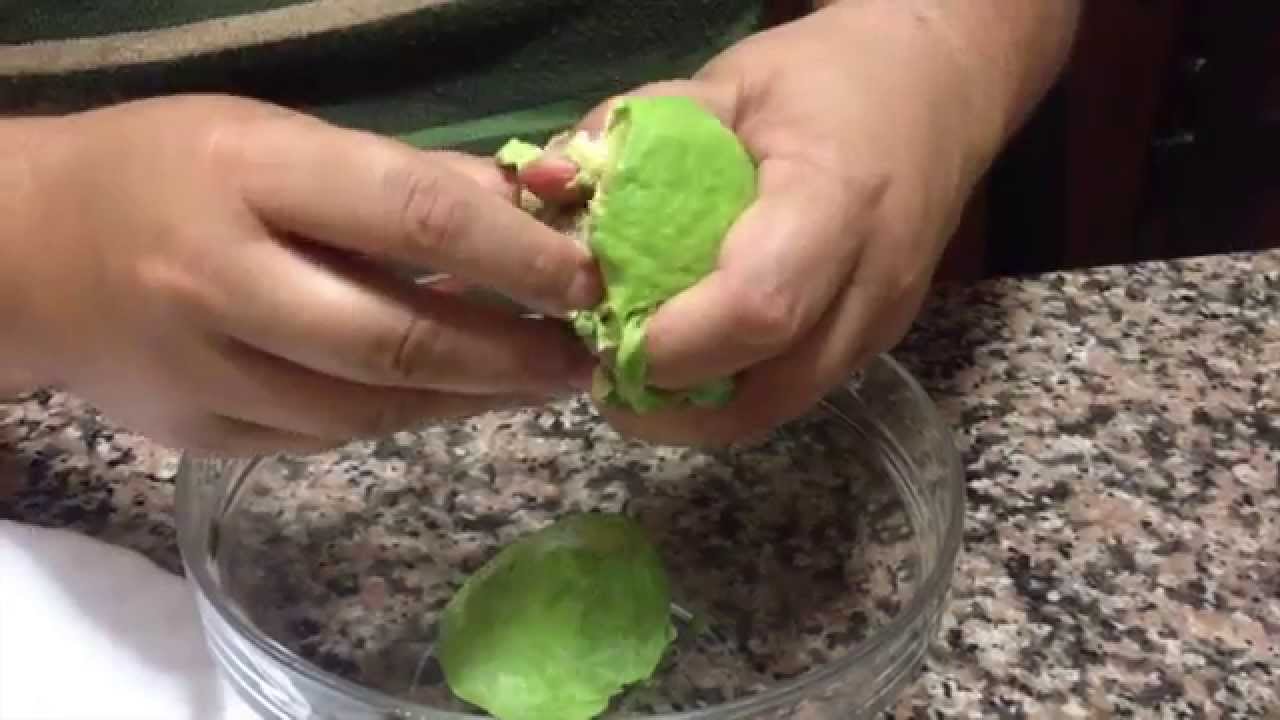 Aldocook – 30 – guacamole