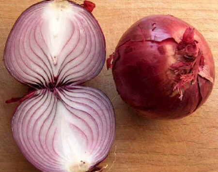 Antipasto con le cipolle