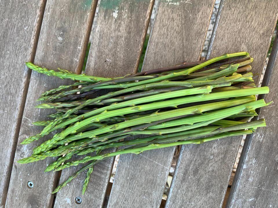 Asparagi selvatici
