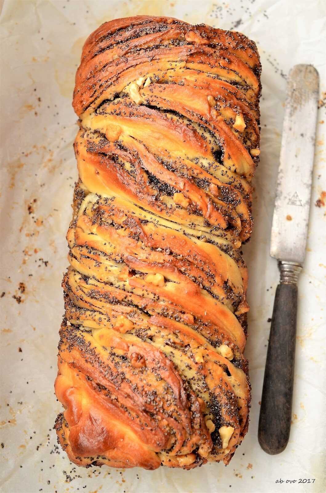 Babka alle noci e semi di papavero