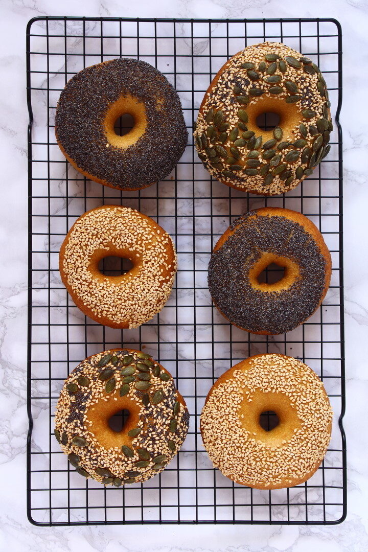 Bagel