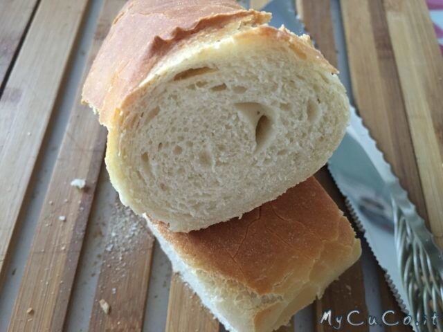 Baguettes con companion moulinex