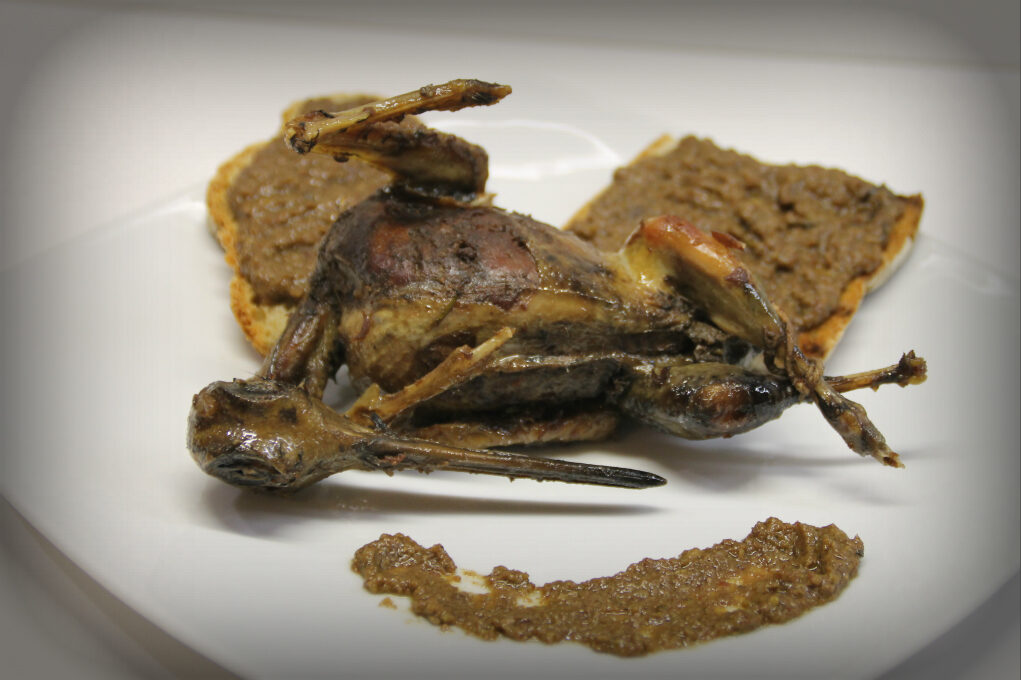 Beccaccia in salmì