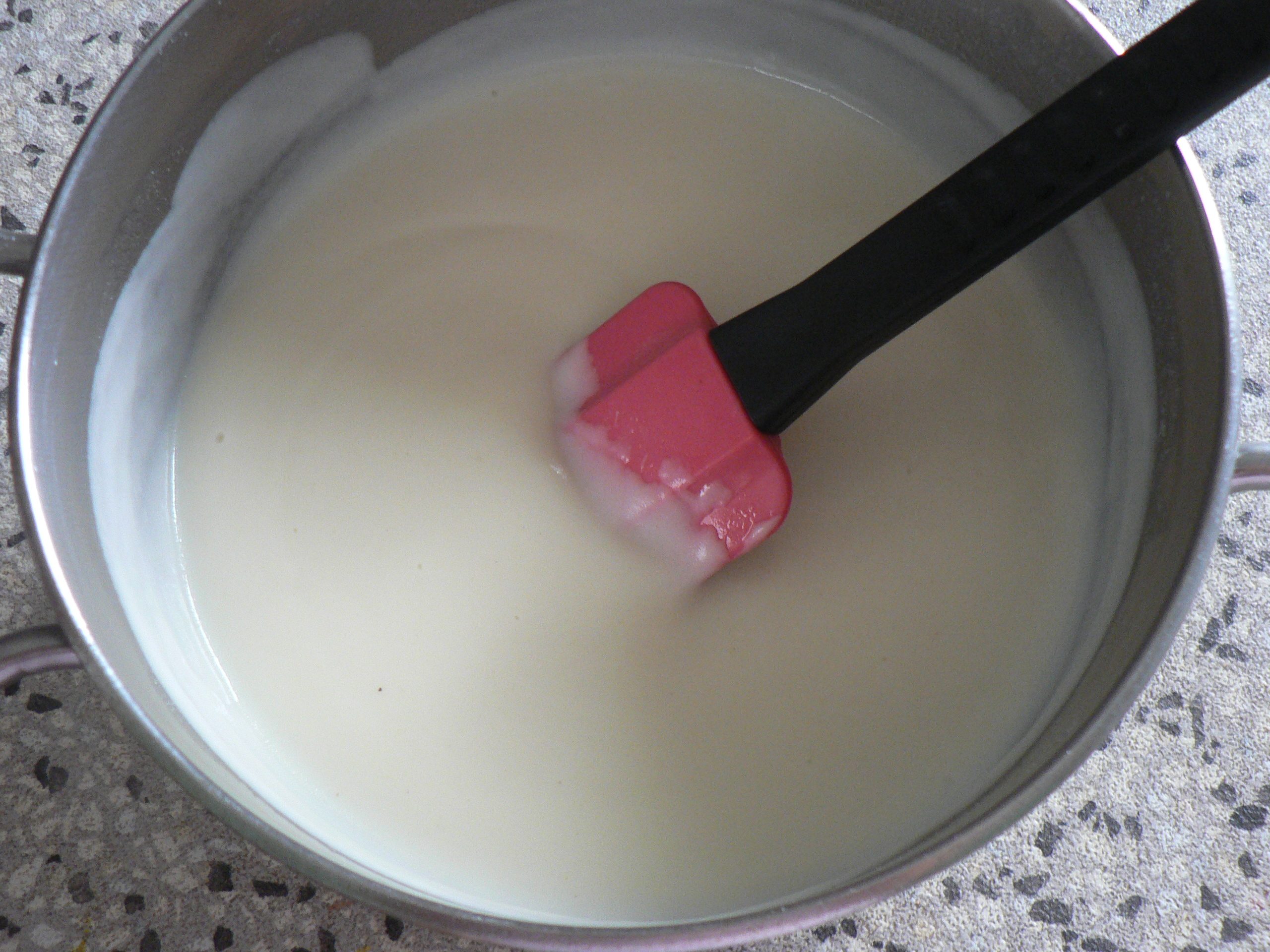 Besciamella-ricetta base