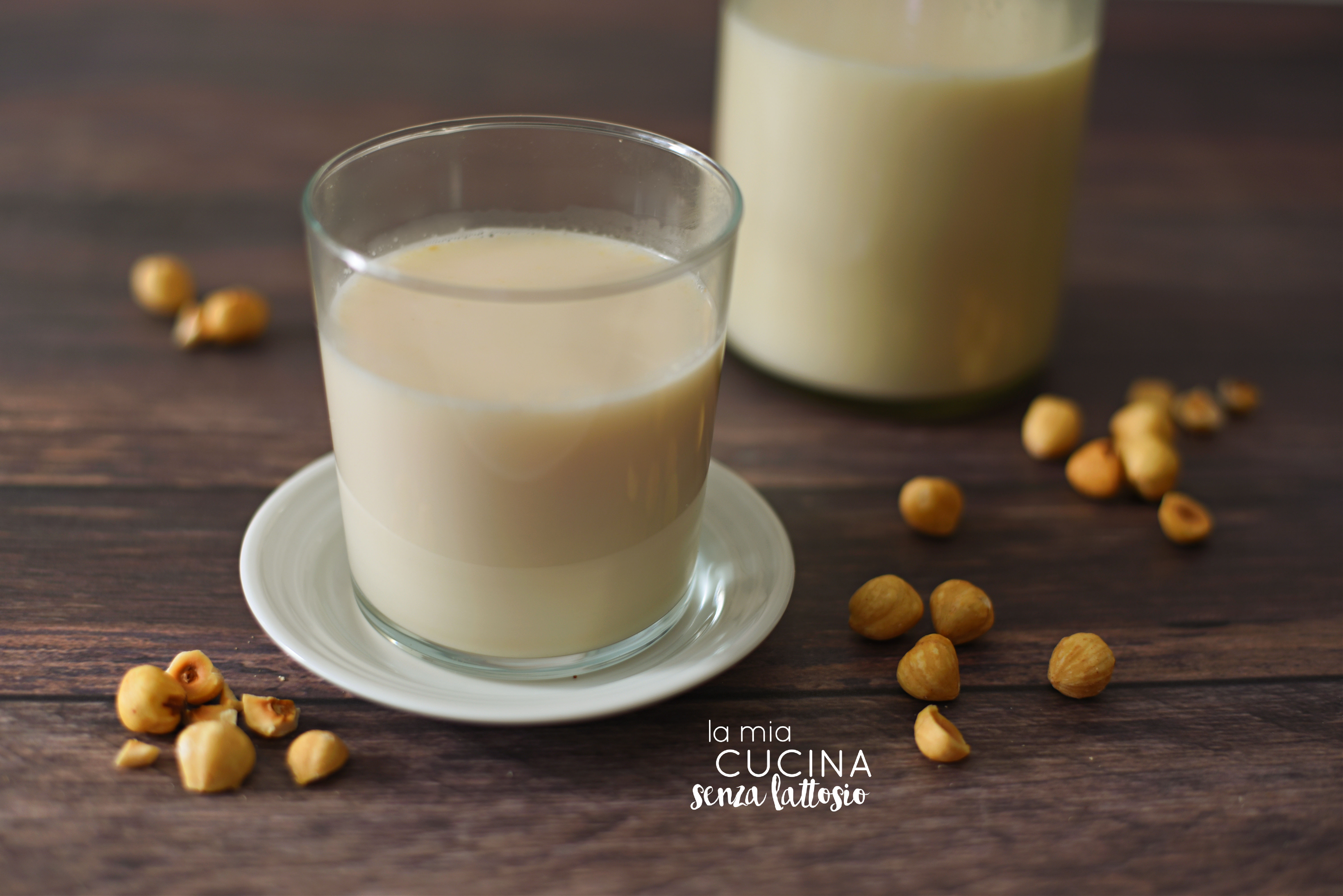 Bevanda vegetale alla nocciola homemade