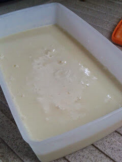 Bimby, gelato alla crema