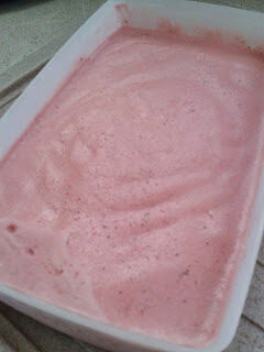 Bimby, gelato alla fragola