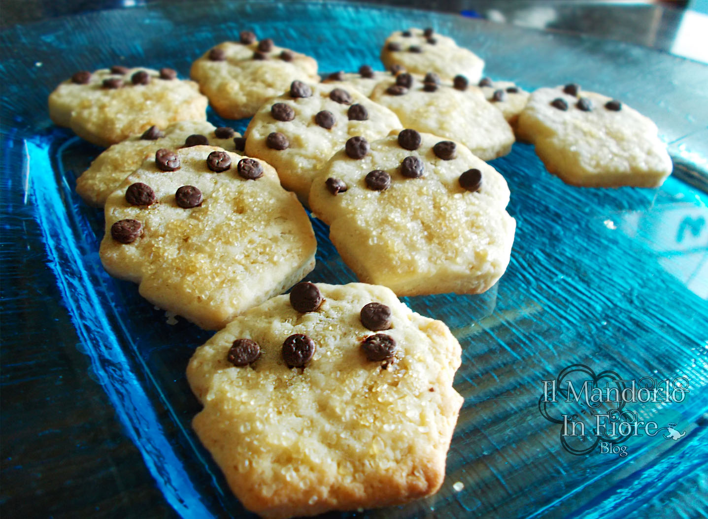 Biscotti al farro con gocce di cioccolata