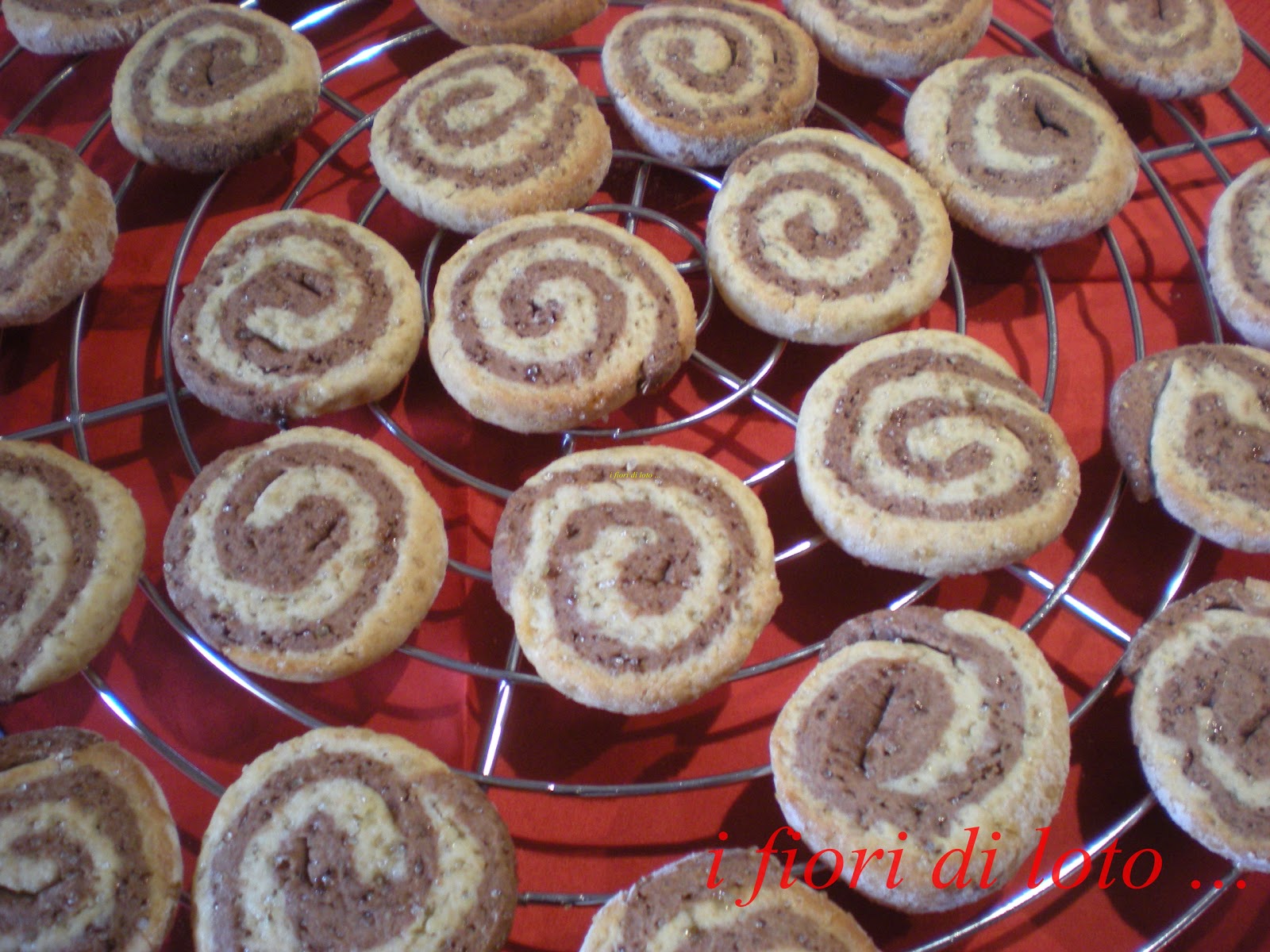 BISCOTTI BICOLORE