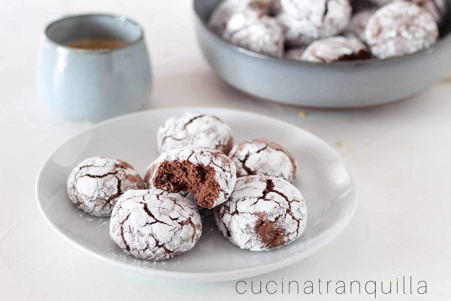 Biscotti morbidi con farina di avena e cacao