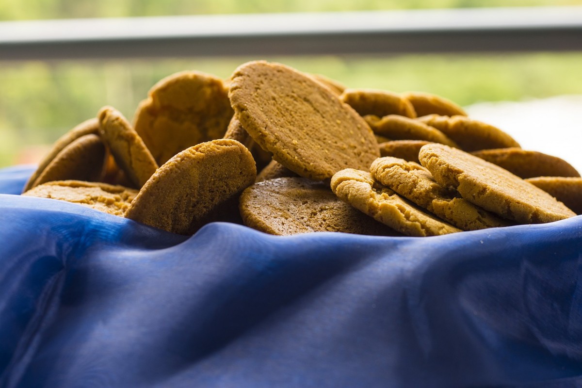 Biscotti nocciolati : ricetta veloce