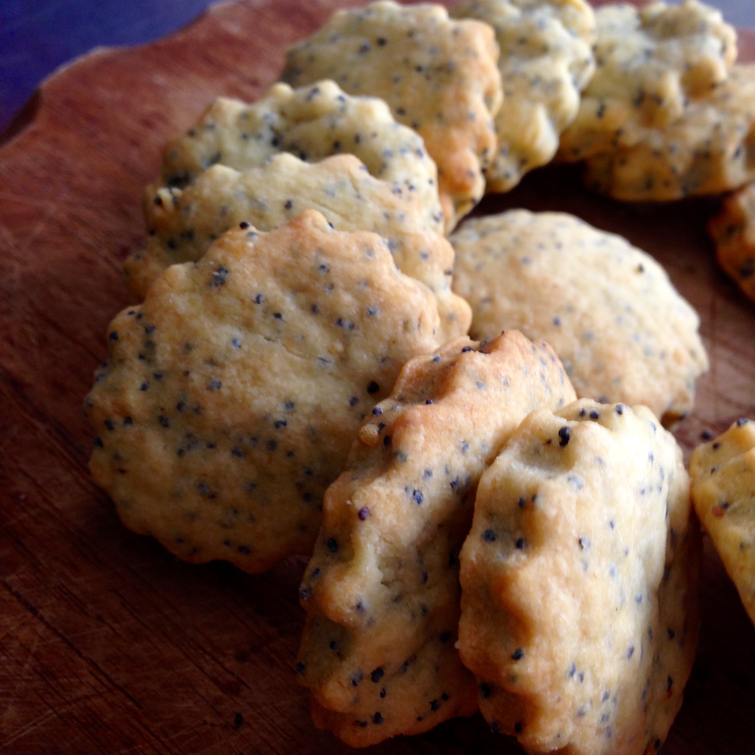 Biscotti salati ai semi di papavero