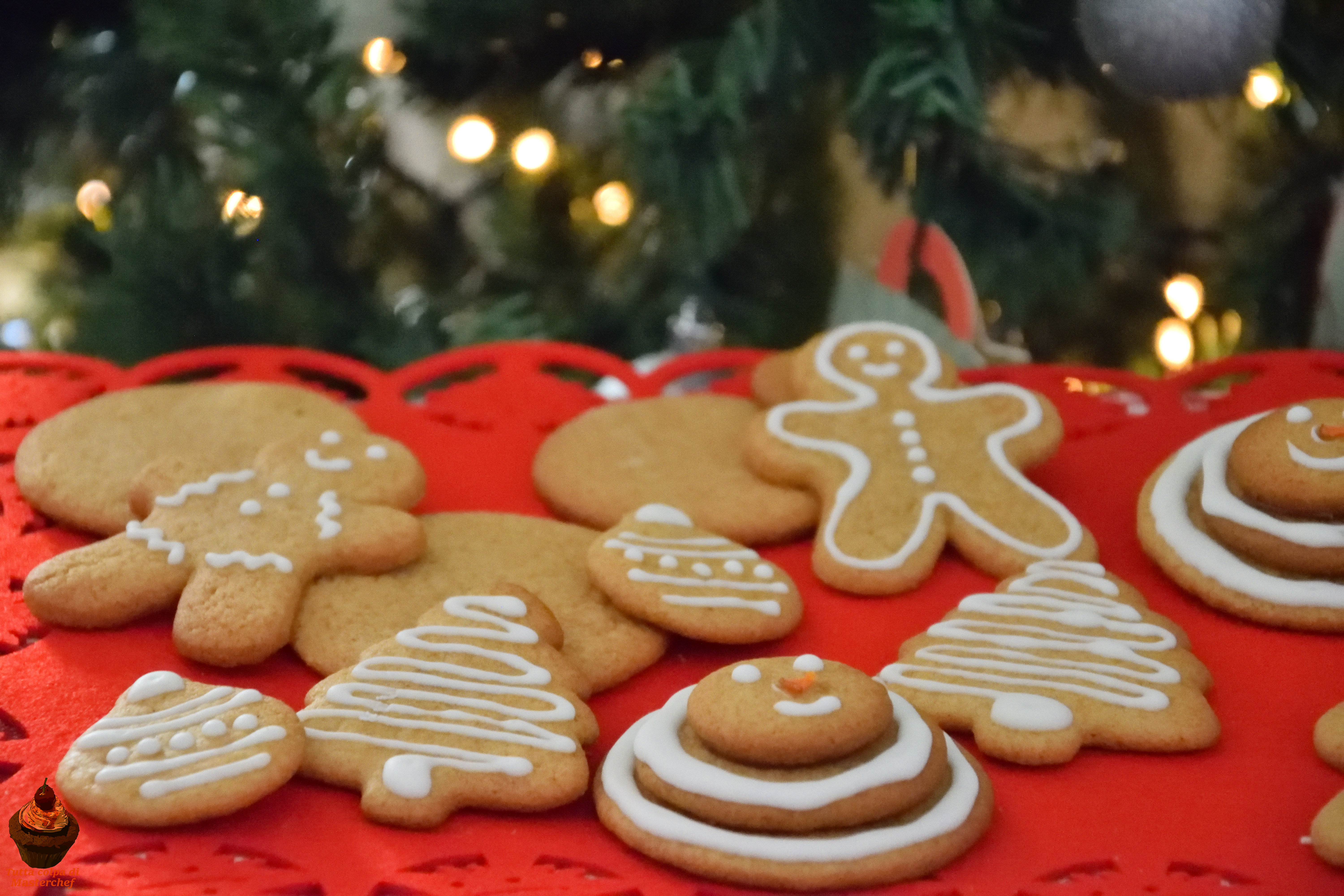 Biscotti speziati di natale
