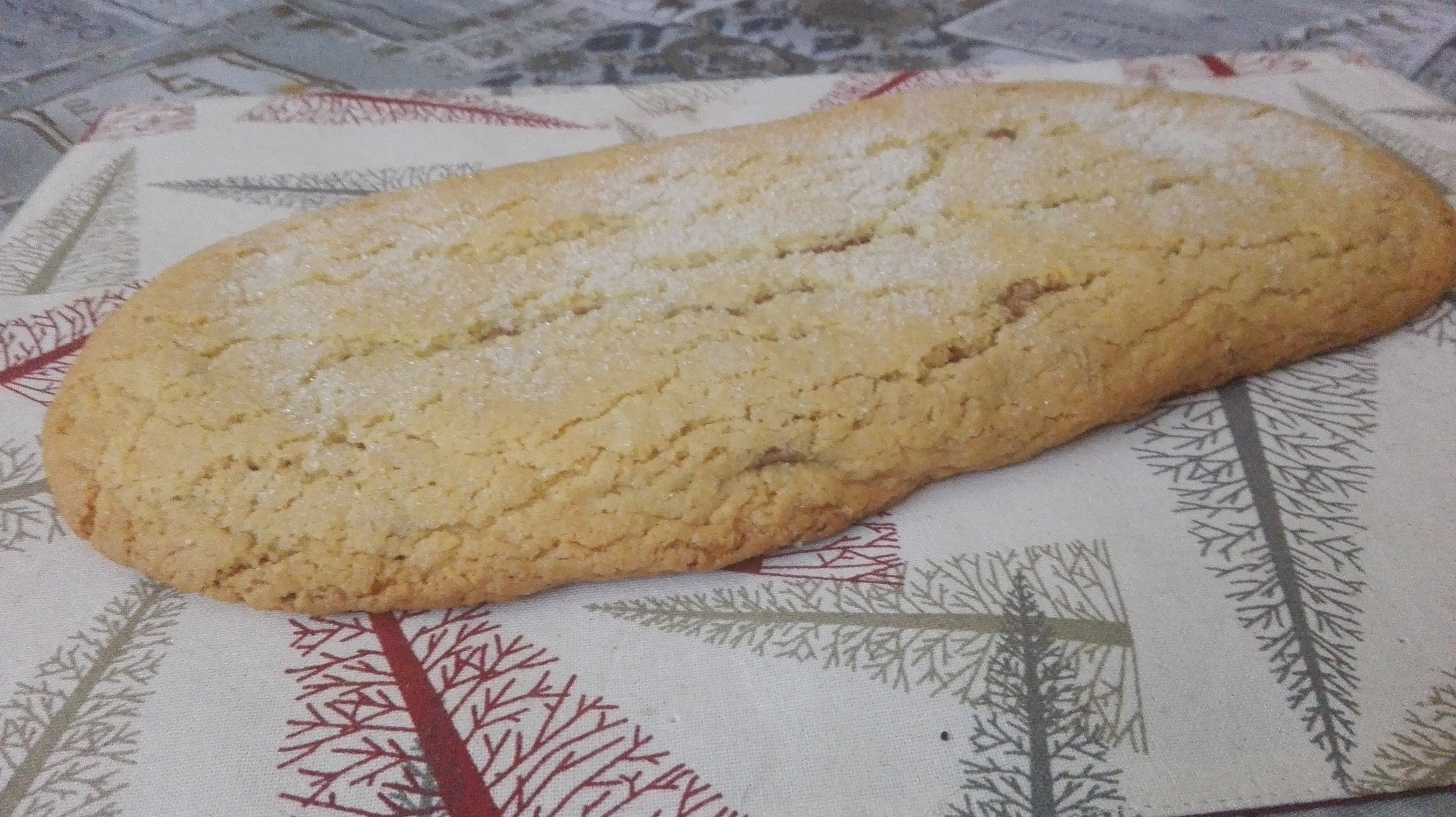 Brazadela (ciambella) romagnola bicolore