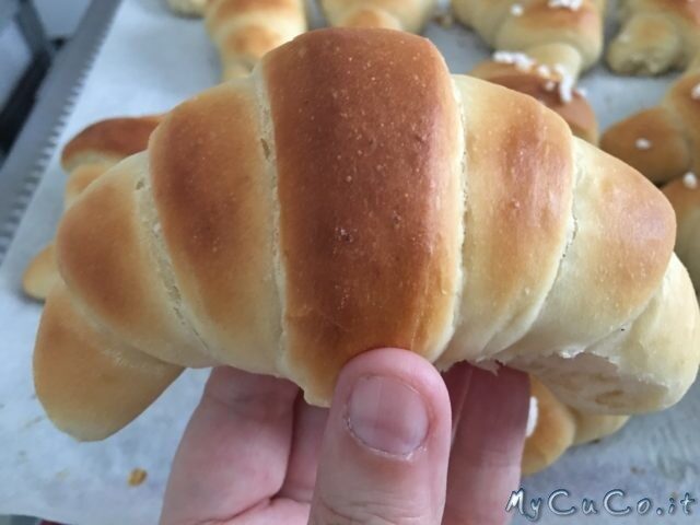 Brioches morbidissime, non sfogliate, con cuisine companion