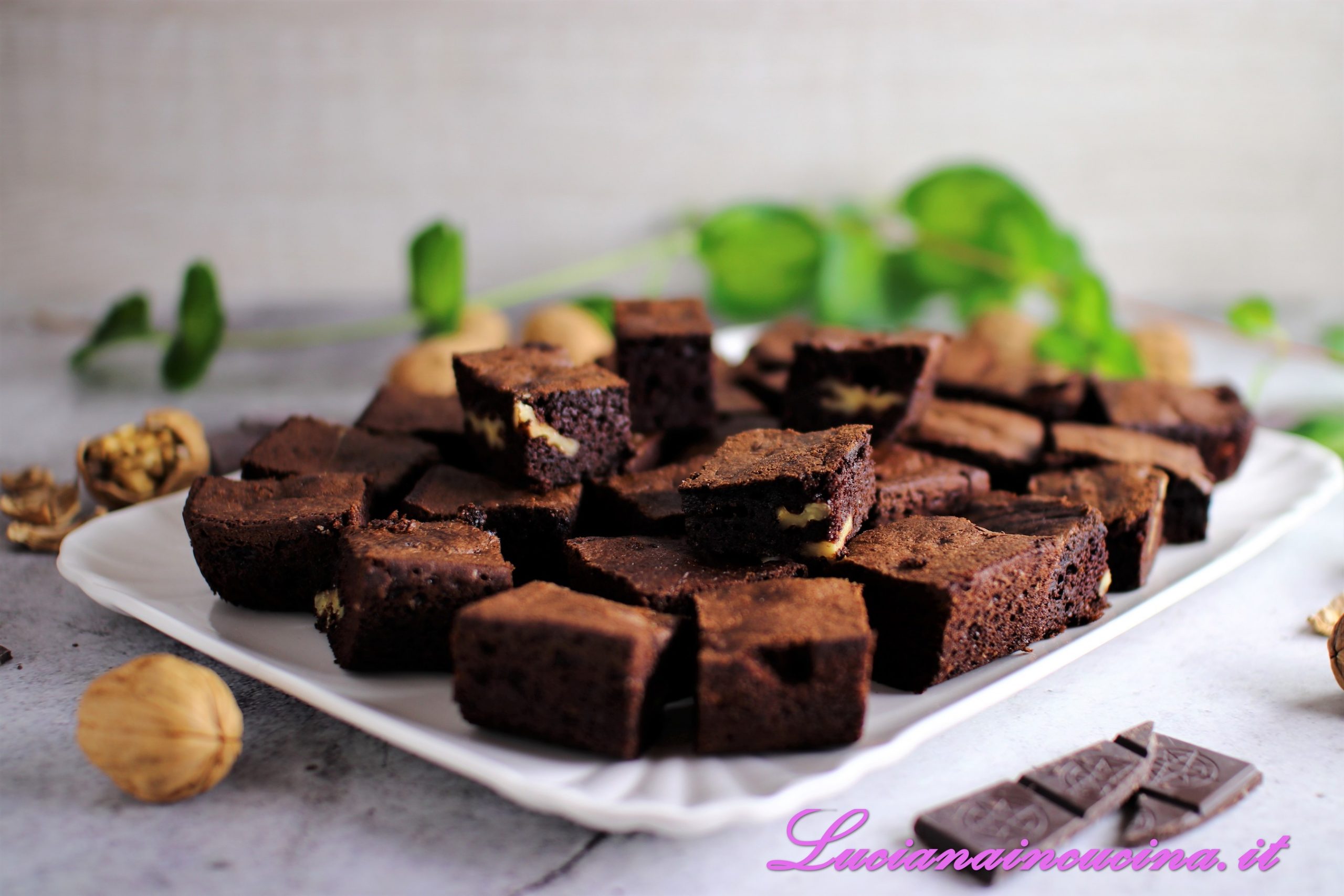 Brownies alle noci