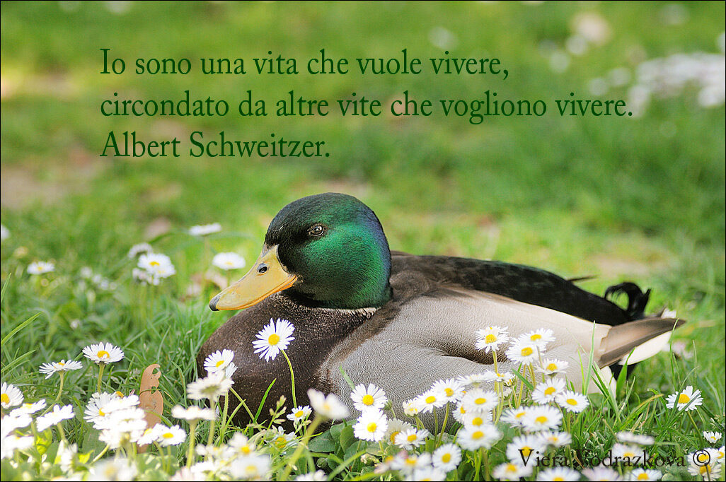 Buona pasqua a tutti! ma proprio a tutti…