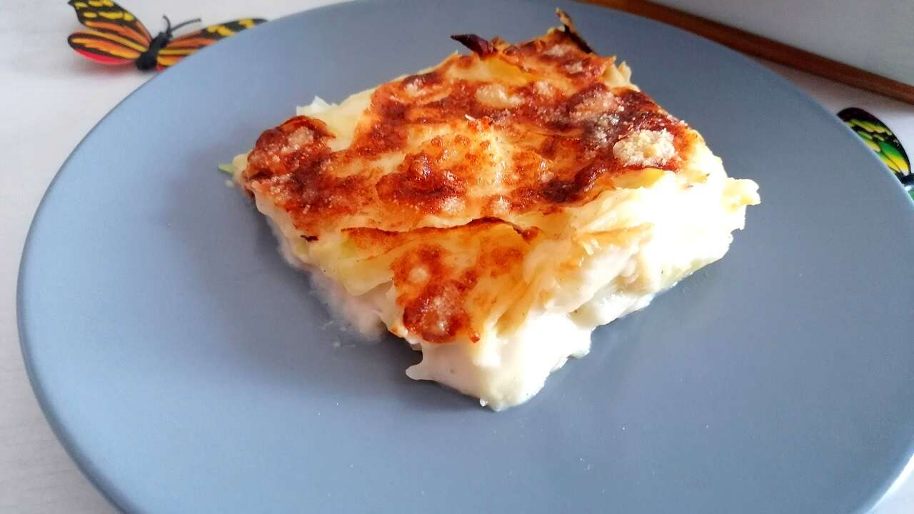 Cavolo cappuccio alla besciamella: ricetta capricciosa