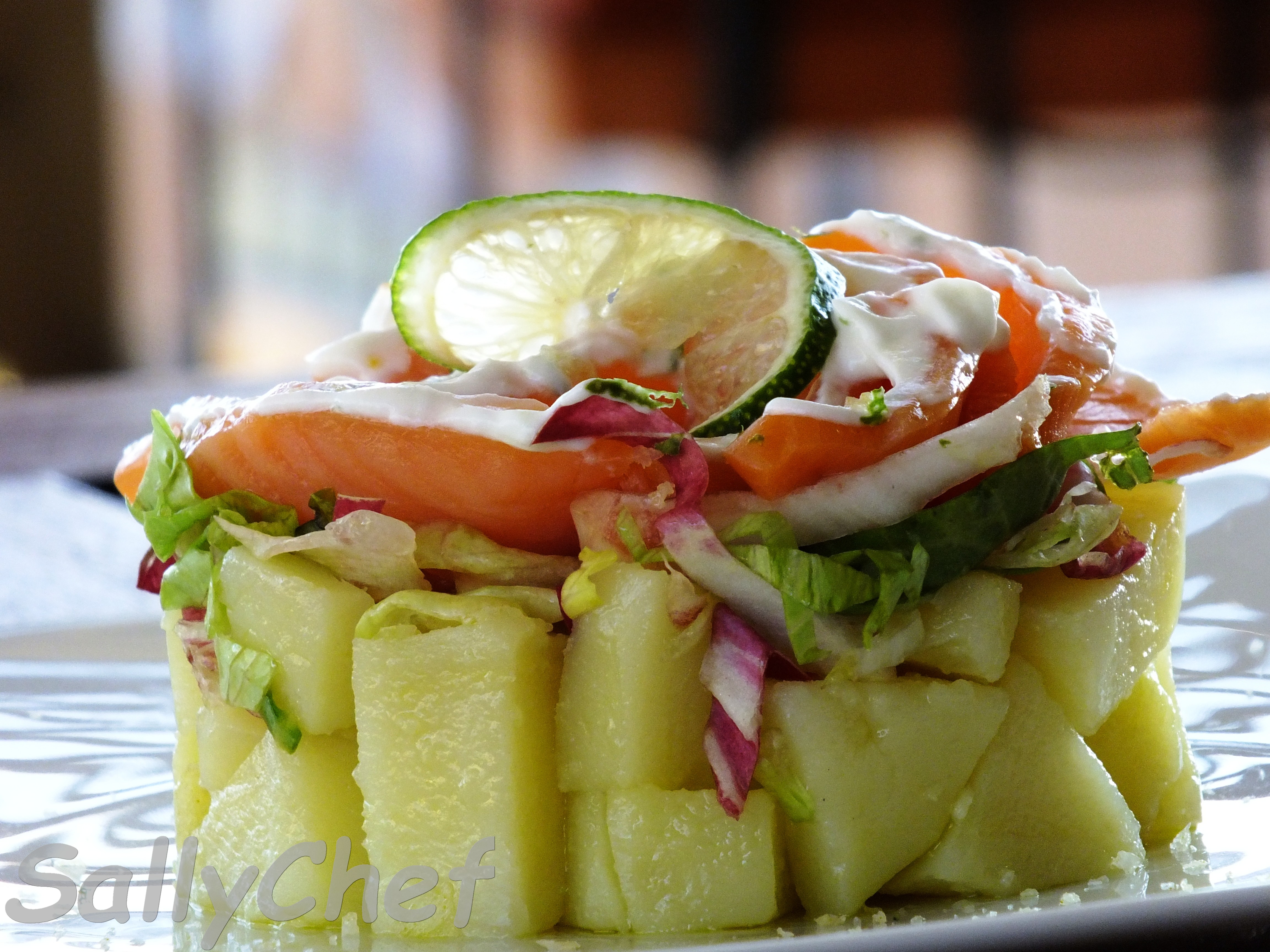 Cerchio di salmone allo yogurt con insalatina e patate