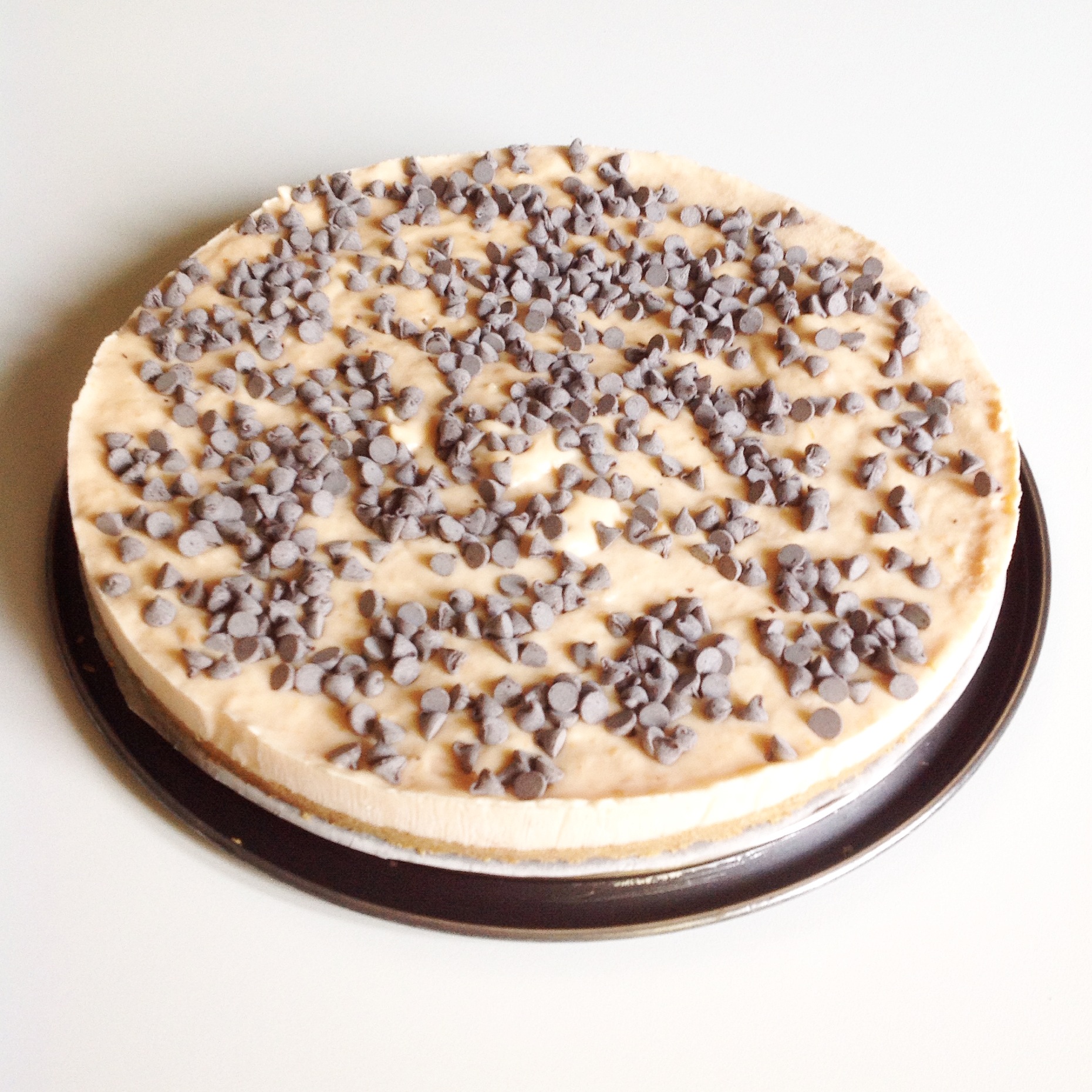 Cheesecake gelato con albicocche e cioccolato