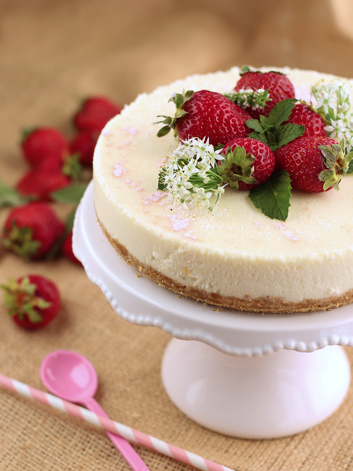 Cheesecake semifreddo