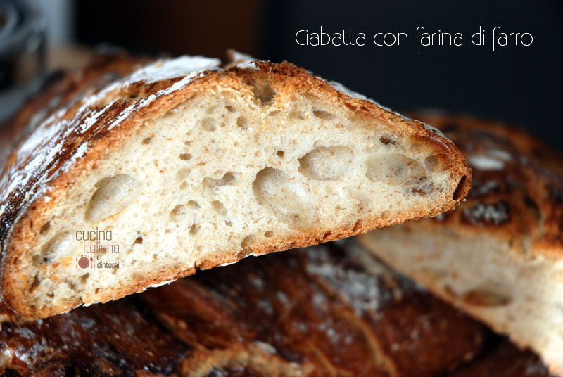 Ciabatta di farro e farina integrale, ricetta con pasta madre
