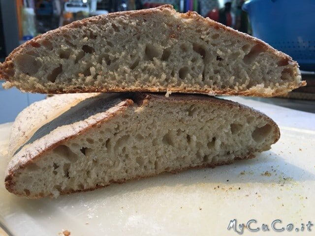 Ciabatta veloce con i-companion e cuisine moulinex