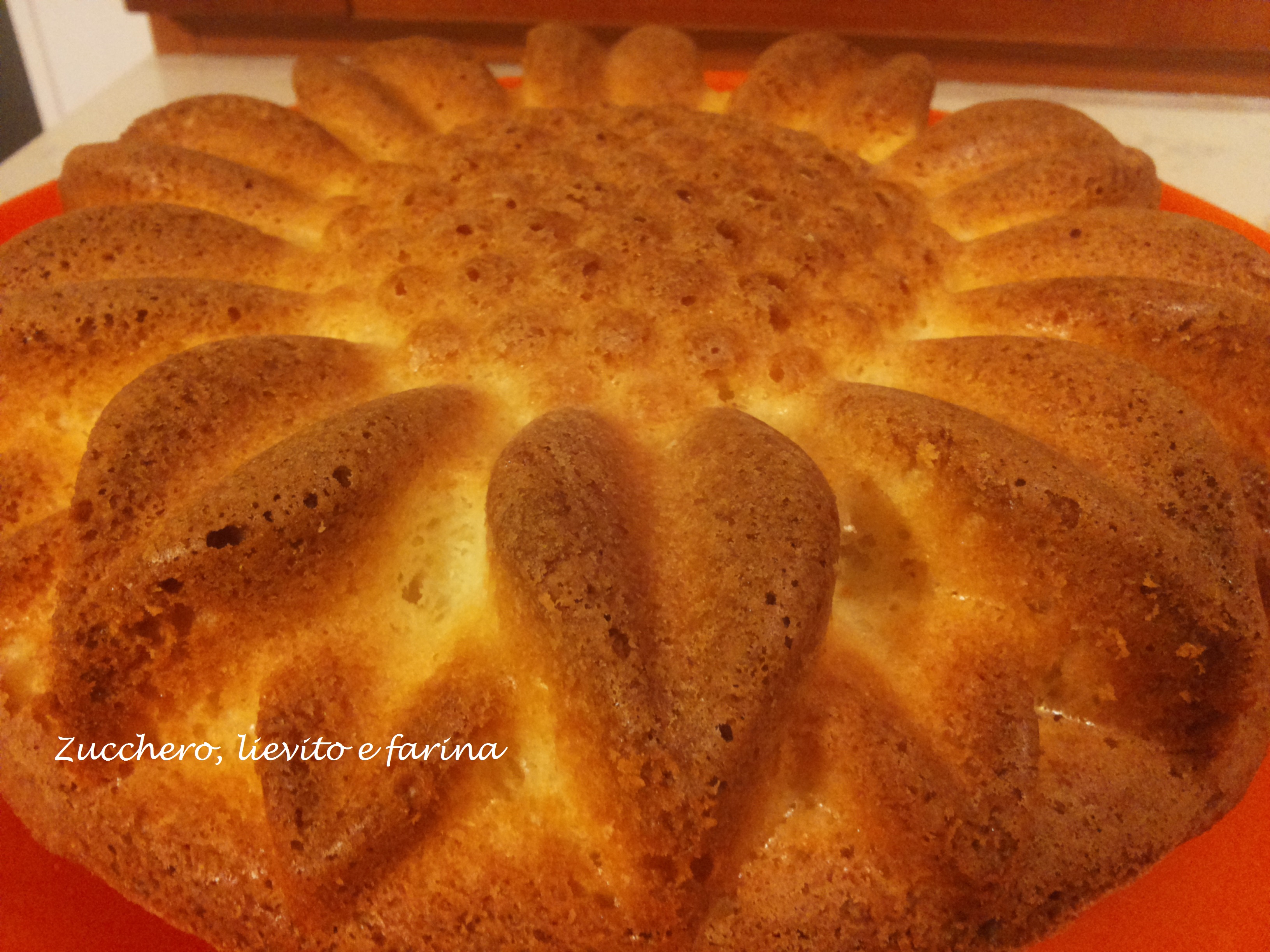 Ciambella al cocco senza saccarosio
