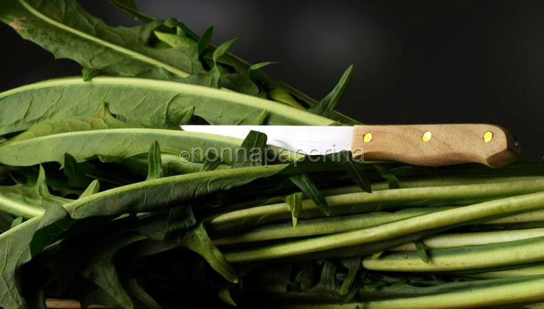 Cicoria al pomodoro