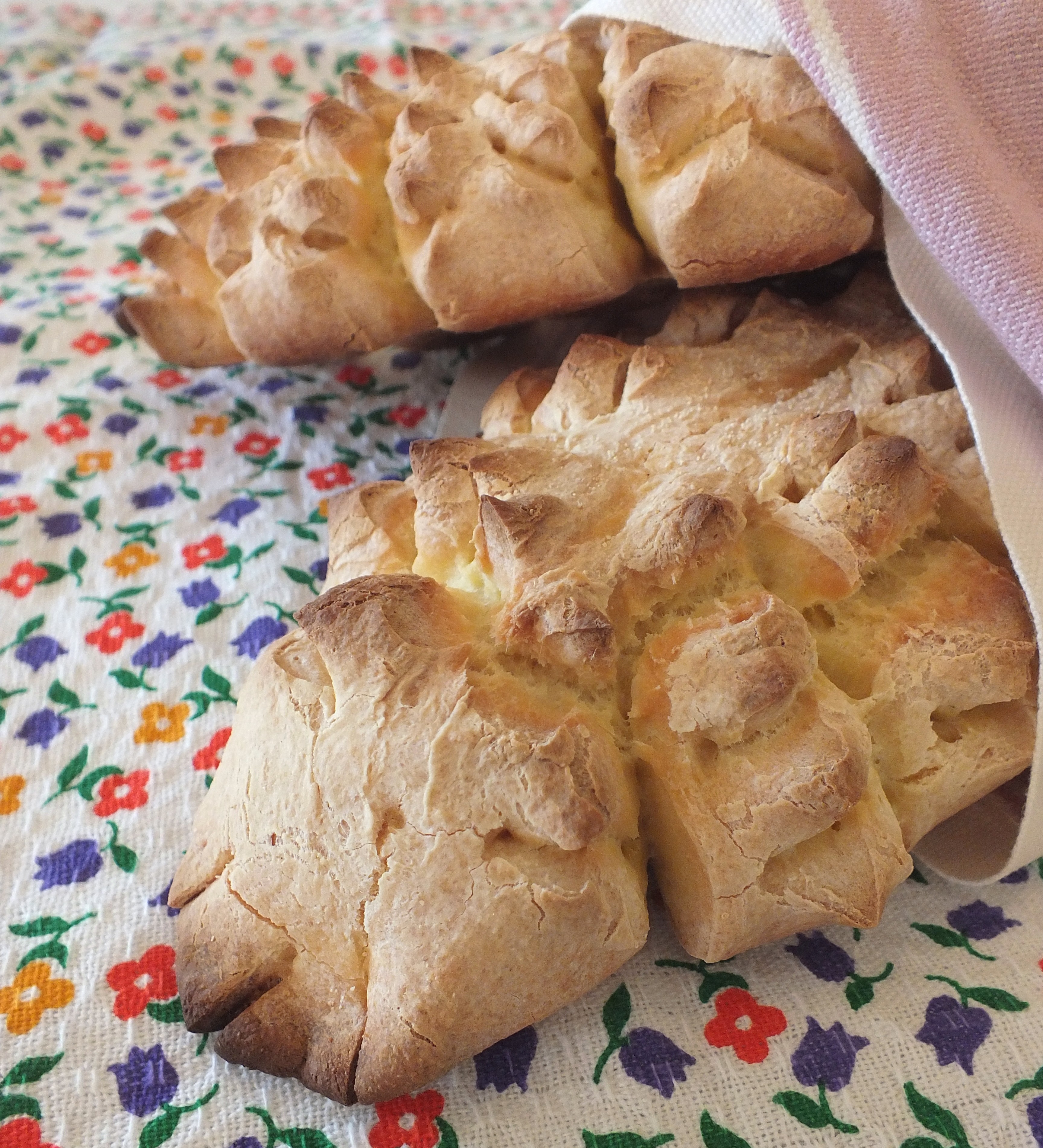 Coccoi il pane della tradizione