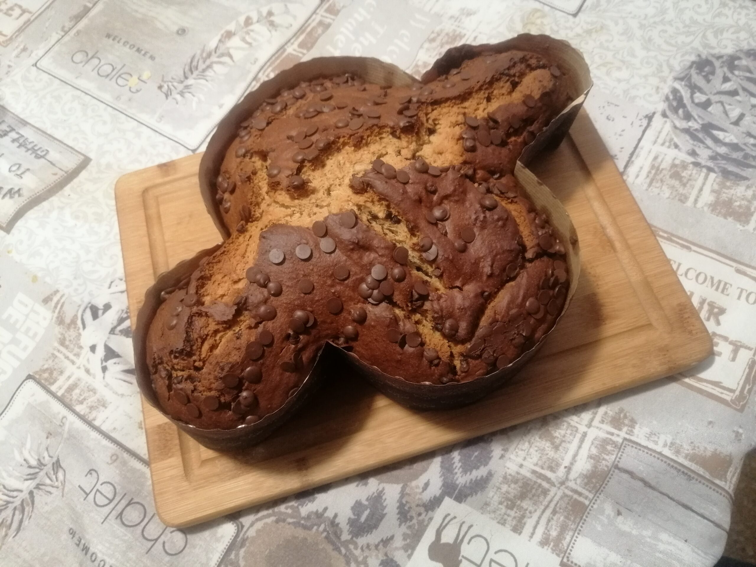 Colomba con gocce di cioccolato